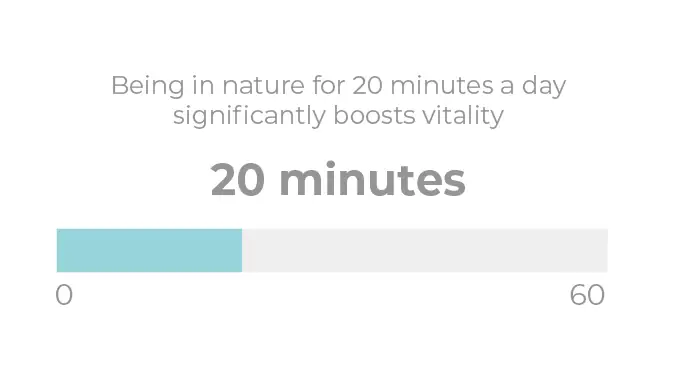 being in nature for 20 minutes a day significantly boosts vitality statistic