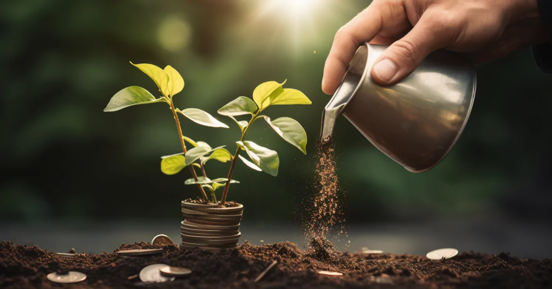 Fueling Sustainable Success- Strategies for Organic Business Growth