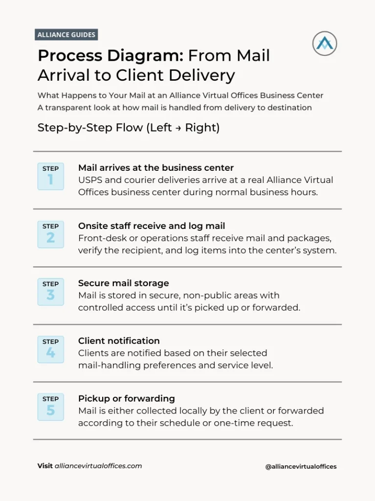 Infographic 02 - From Mail to Meetings What Really Happens Inside an Alliance Virtual Offices Business Center 1 | Alliance Virtual Offices