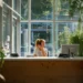 Live Receptionist vs Answering Service- Which One Is Better for Your Business_ | Alliance Virtual Offices Live Receptionist vs Answering Service- Which One Is Better for Your Business